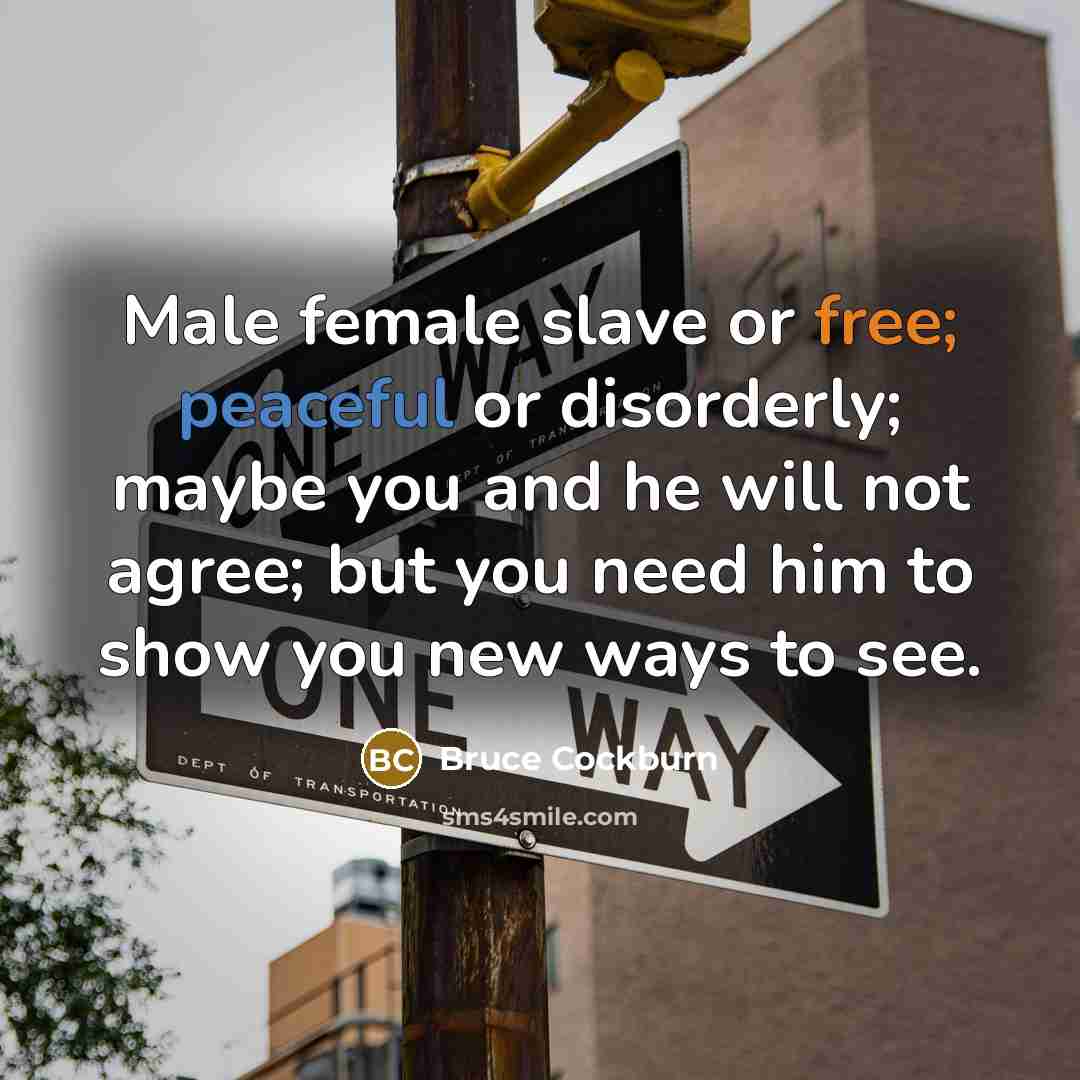 “Male female slave or free; peaceful or disorderly; maybe you…” quote by Bruce Cockburn