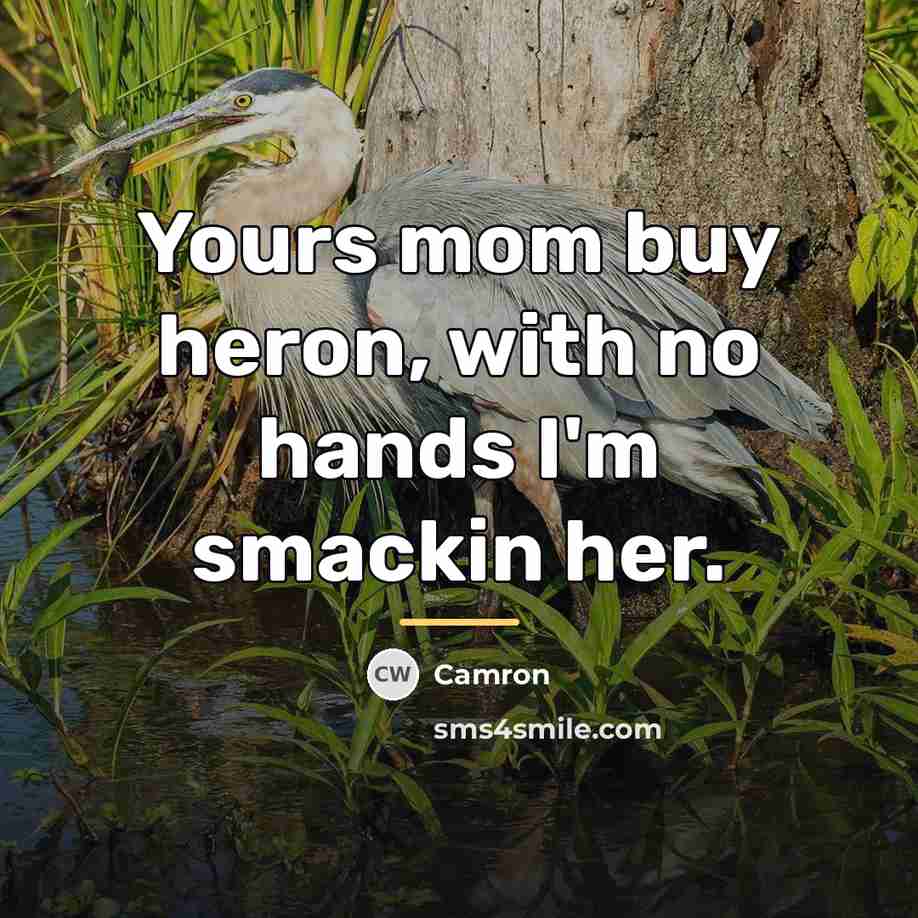 “Yours mom buy heron, with no hands I'm smackin her.…” quote by Camron