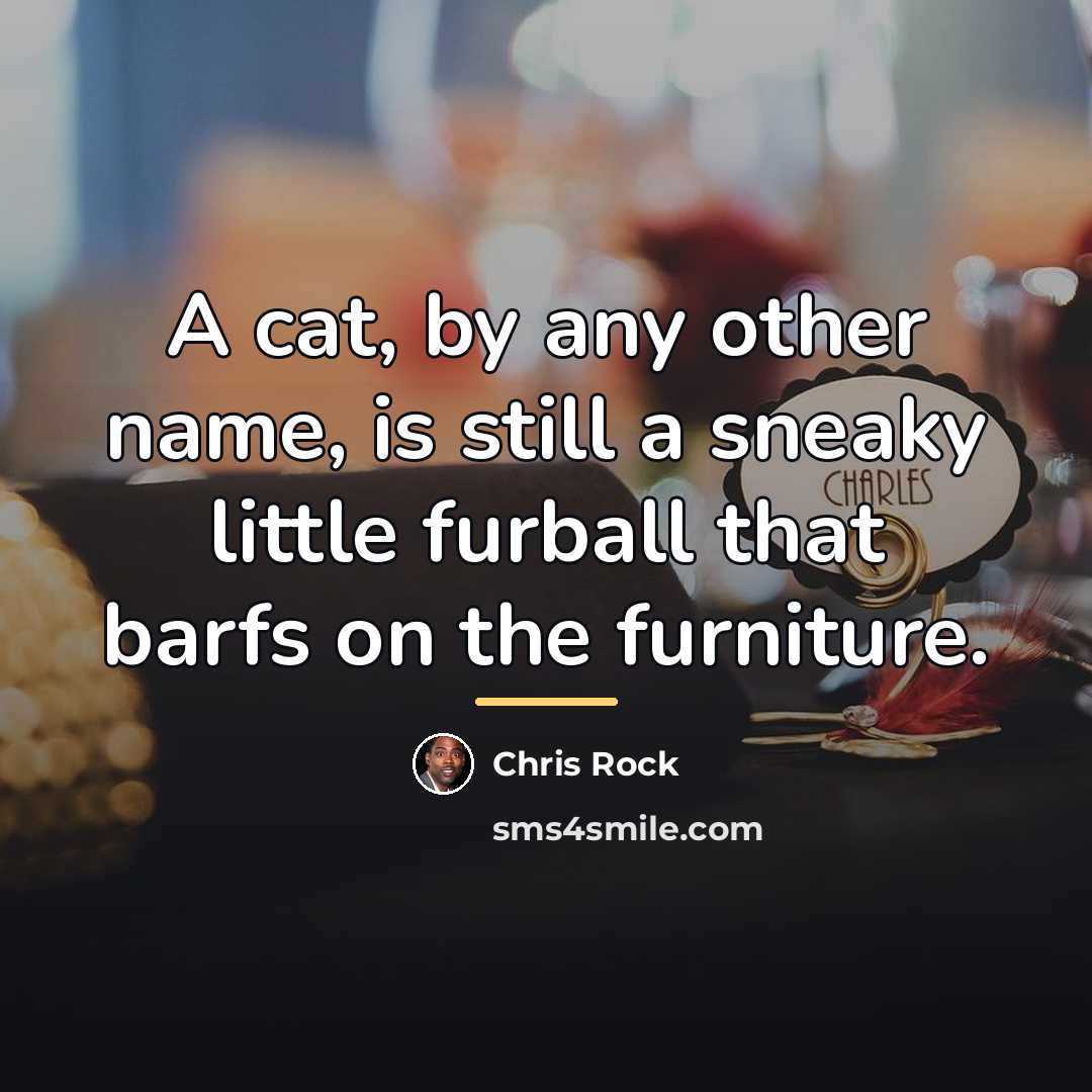 “A cat, by any other name, is still a sneaky…” quote by Chris Rock