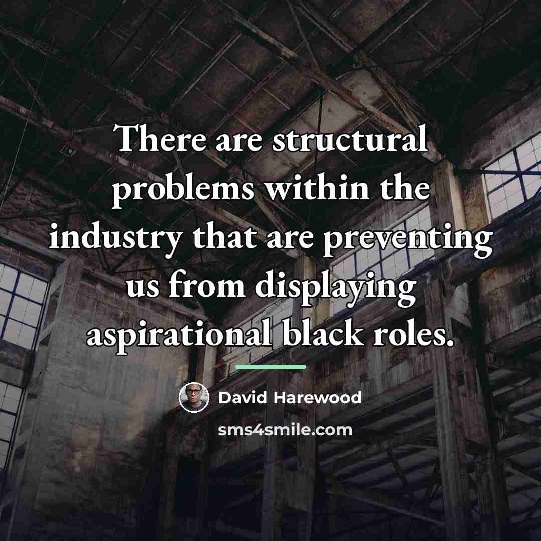 “There are structural problems within the industry that are preventing…” quote by David Harewood