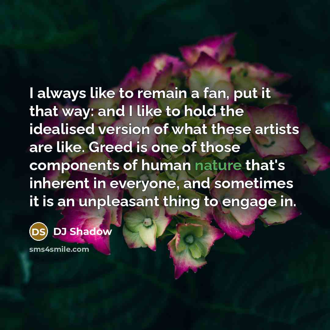 “I always like to remain a fan, put it that…” quote by DJ Shadow