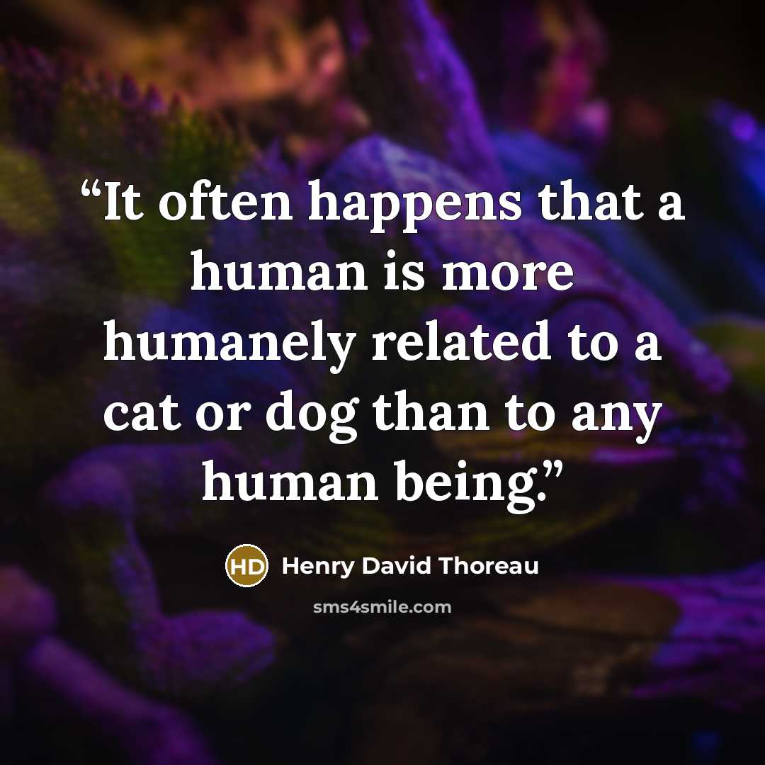 “It often happens that a human is more humanely related to a cat or dog than to any human being.” quote by Henry David Thoreau