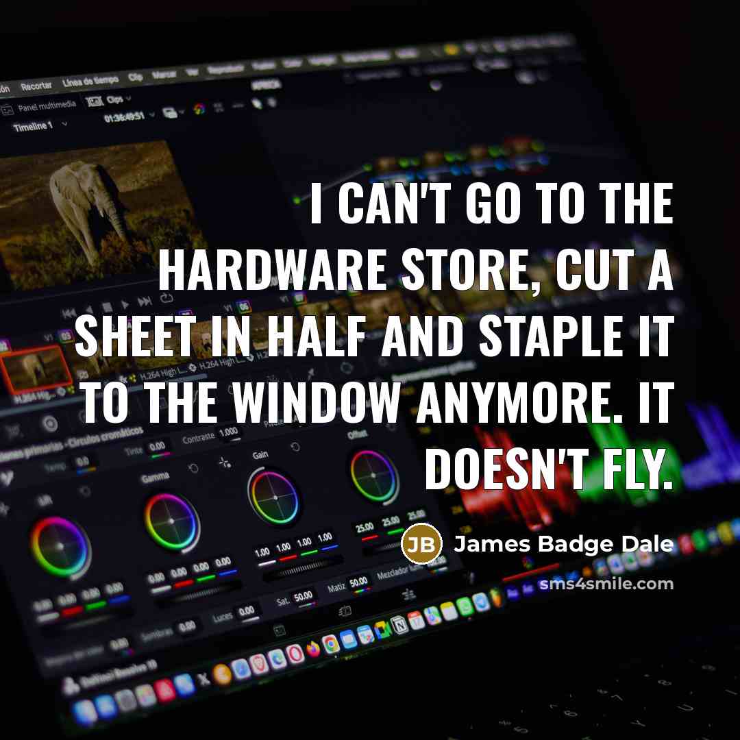 “I can't go to the hardware store, cut a sheet…” quote by James Badge Dale