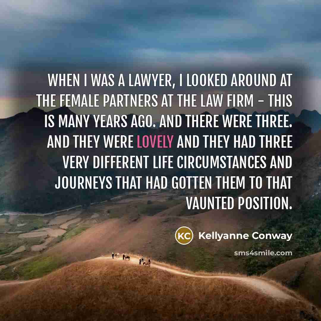 “When I was a lawyer, I looked around at the…” quote by Kellyanne Conway