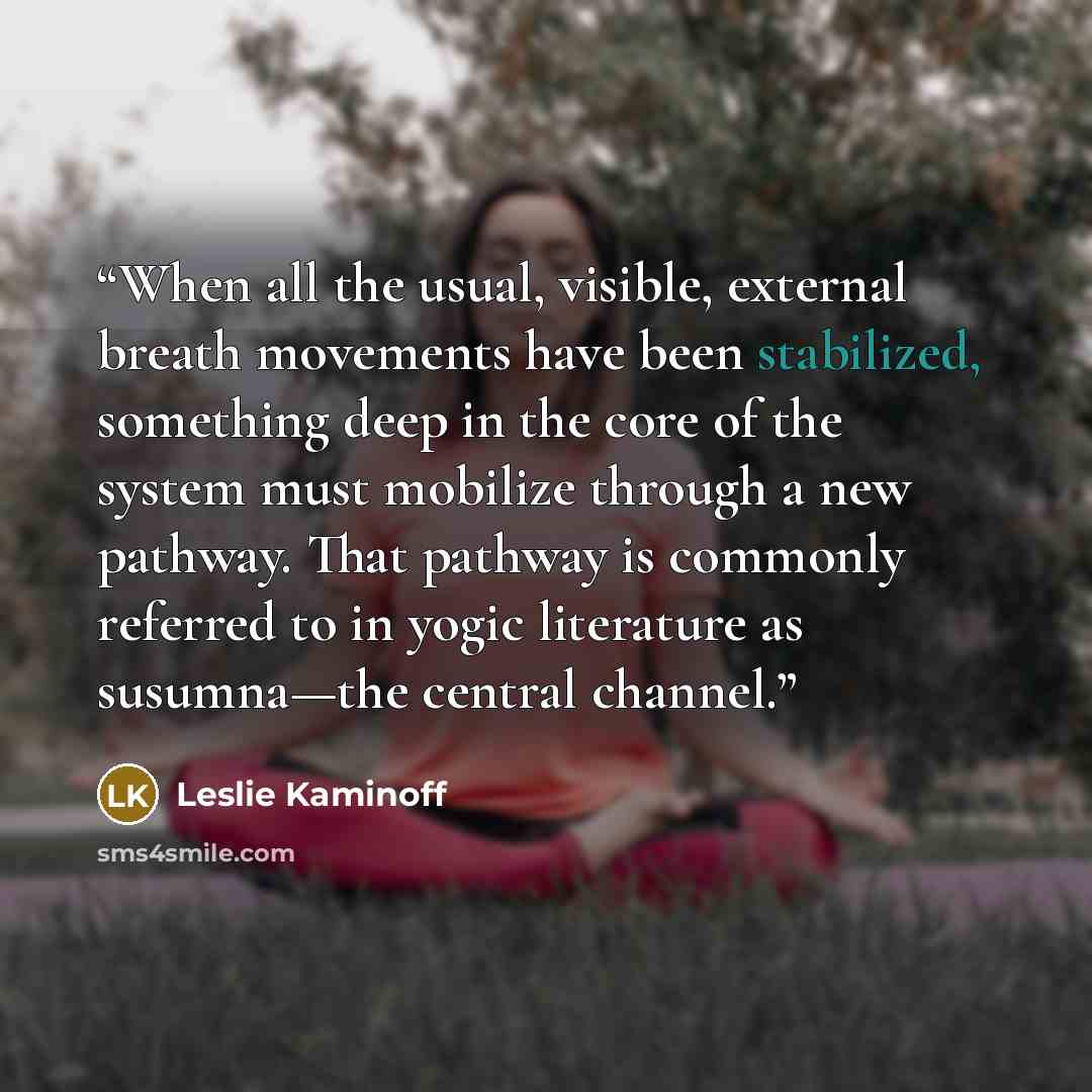 “When all the usual, visible, external breath movements have been stabilized, something deep in the core of the system must mobilize through a new pathway. That pathway is commonly referred to in yogic literature as susumna—the central channel.” quote by Leslie Kaminoff