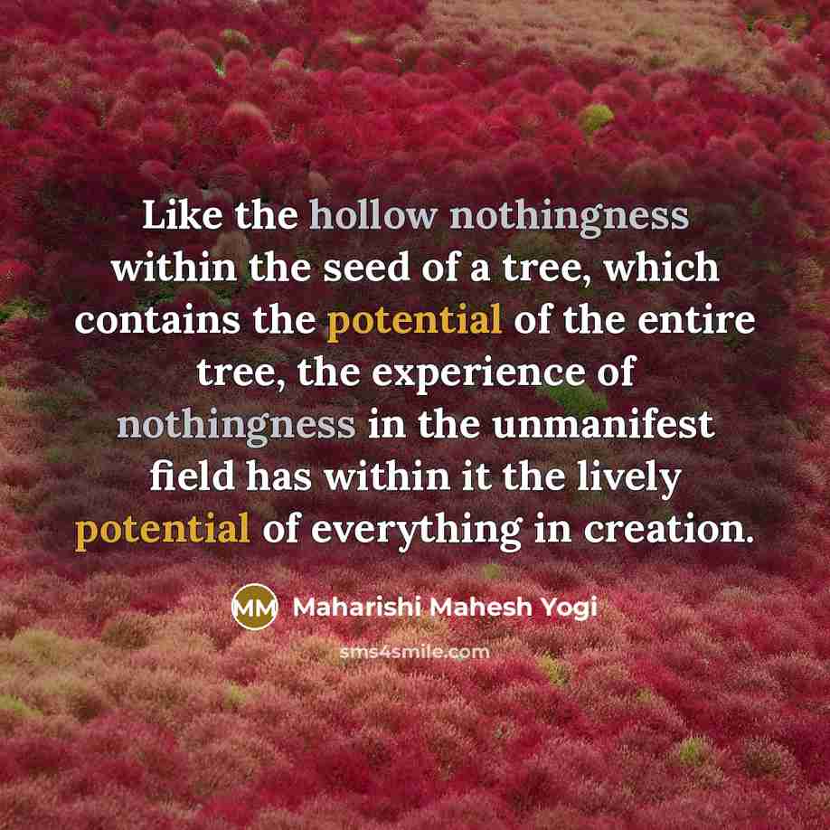 “Like the hollow nothingness within the seed of a tree,…” quote by Maharishi Mahesh Yogi