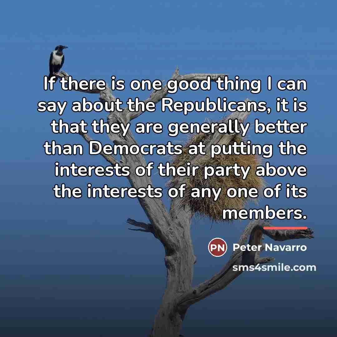 “If there is one good thing I can say about…” quote by Peter Navarro