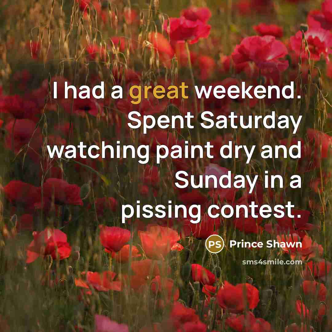 “I had a great weekend. Spent Saturday watching paint dry…” quote by Prince Shawn