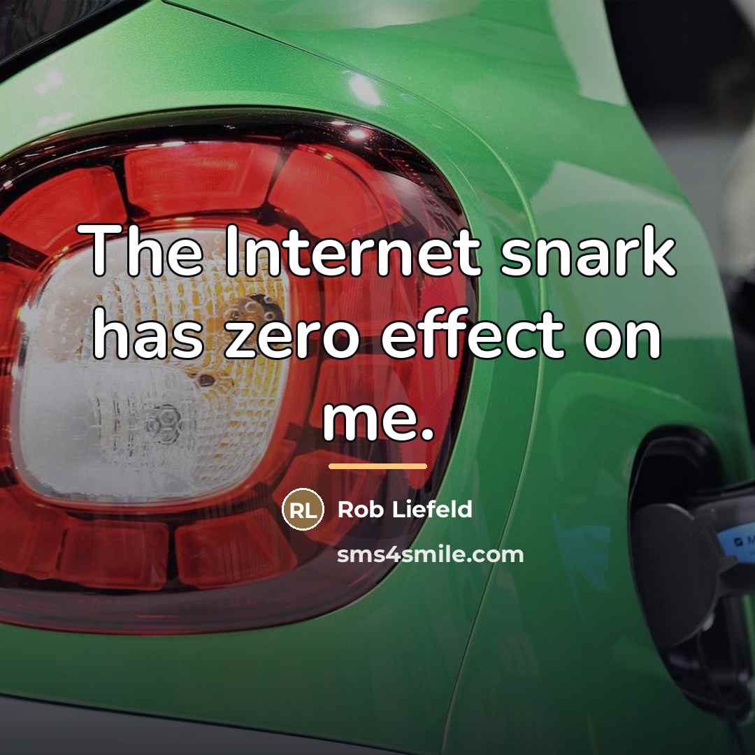 “The Internet snark has zero effect on me.…” quote by Rob Liefeld