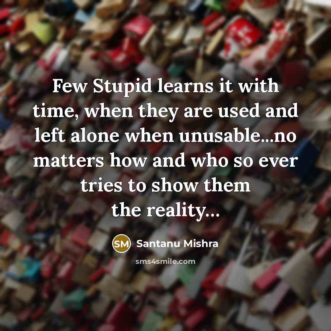 “Few Stupid learns it with time, when they are used…” quote by Santanu Mishra