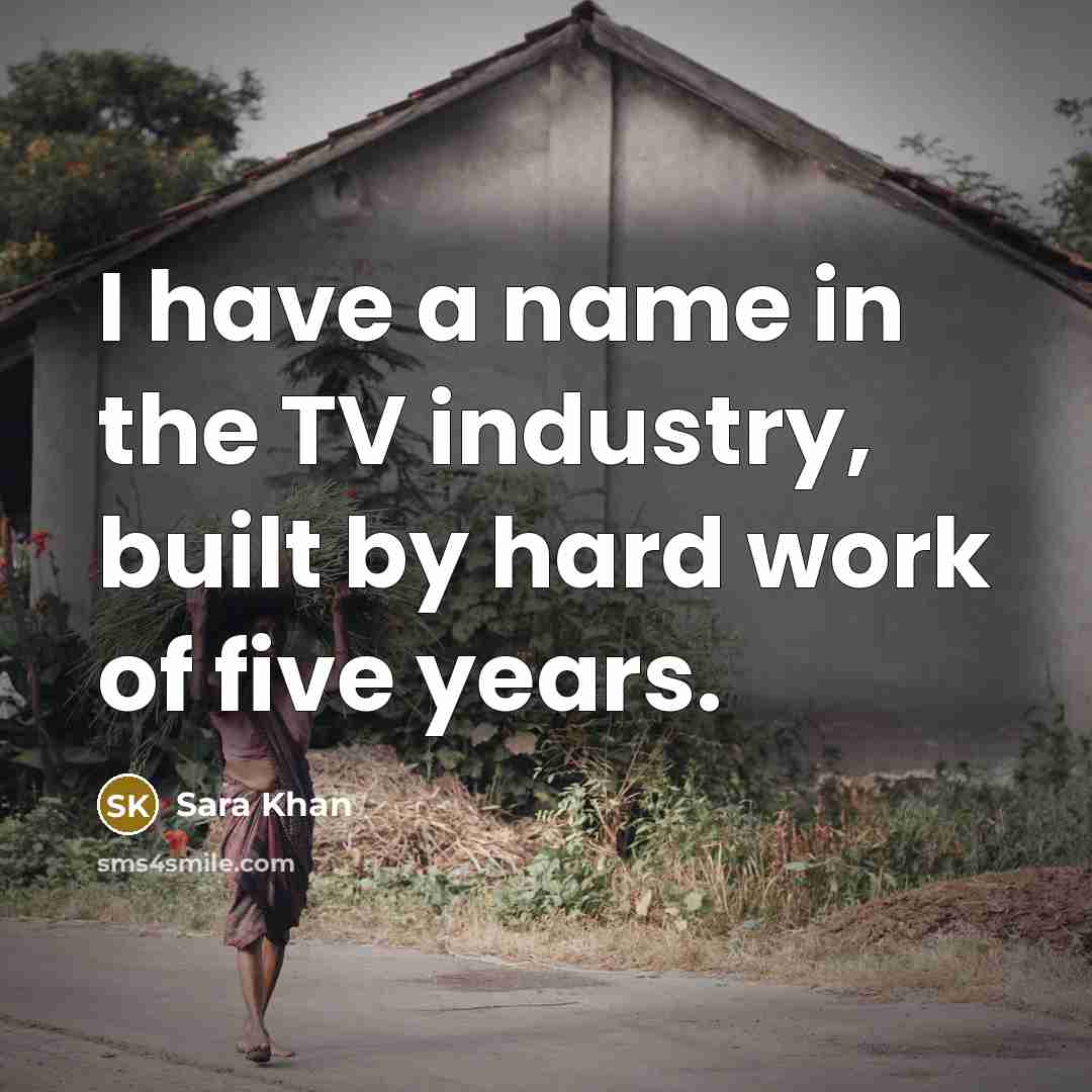 “I have a name in the TV industry, built by…” quote by Sara Khan