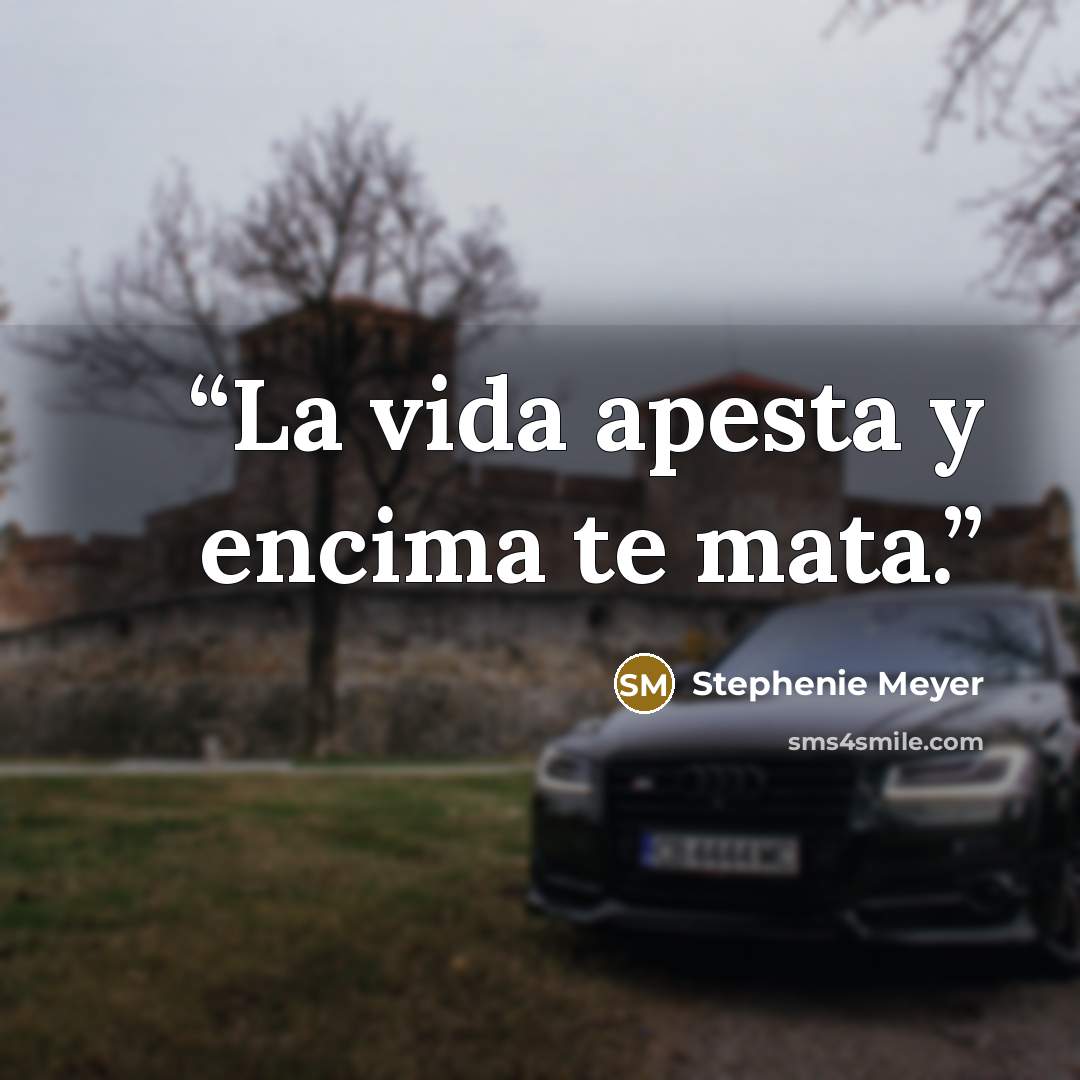 “La vida apesta y encima te mata.” quote by Stephenie Meyer