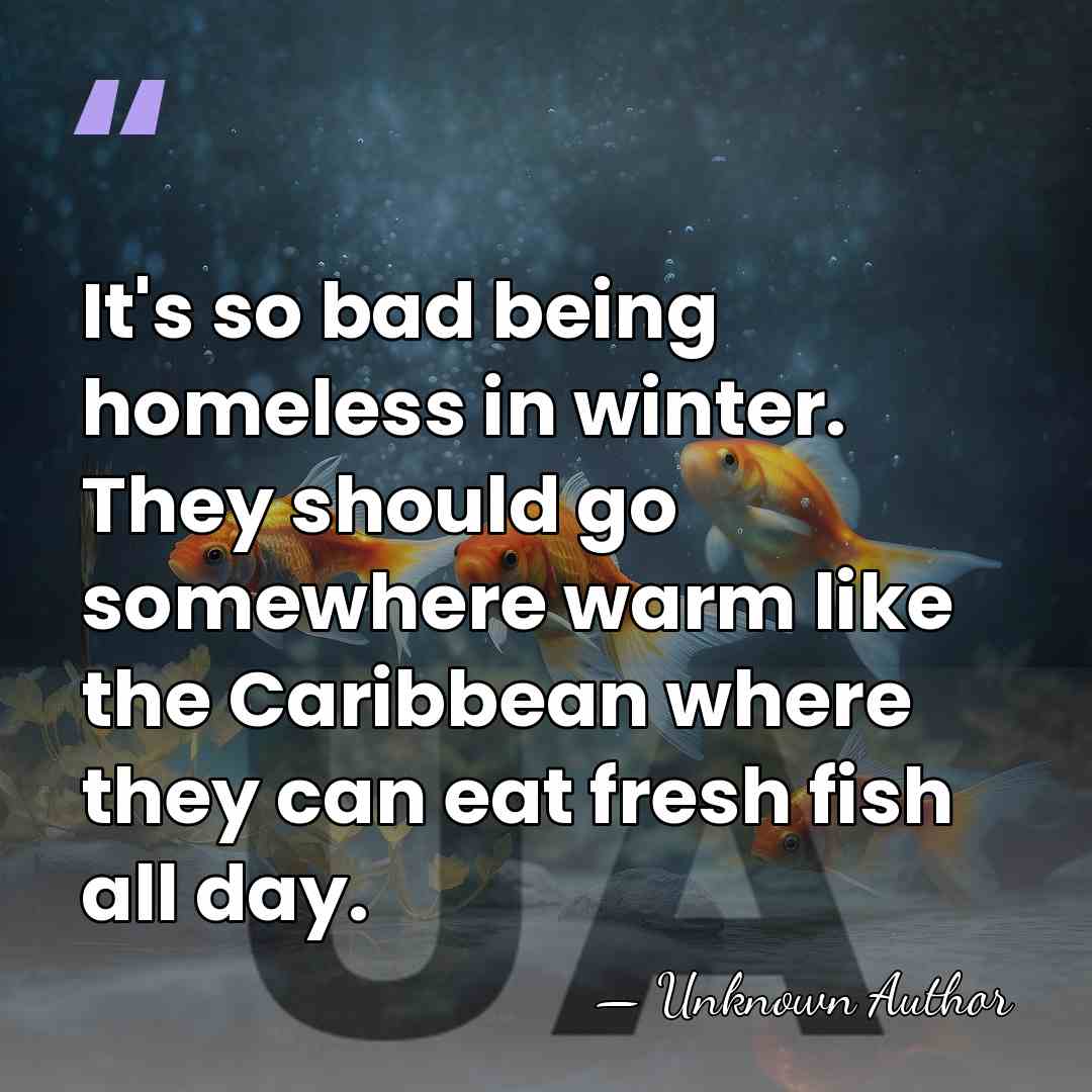 It's so bad being homeless in winter. They should go somewhere warm&hellip; - Unknown Author