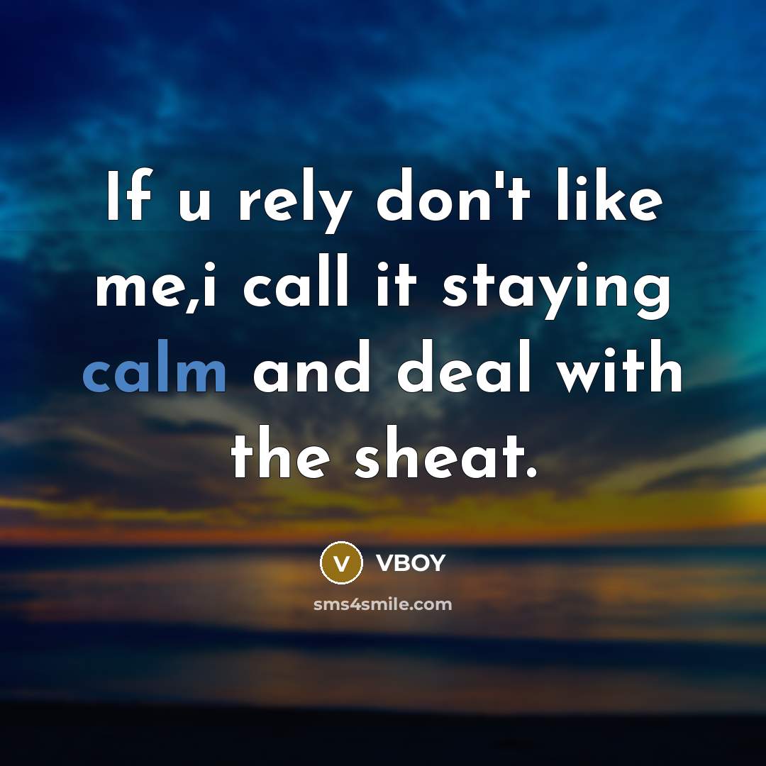 “If u rely don't like me,i call it staying calm and deal with the sheat.” quote by VBOY
