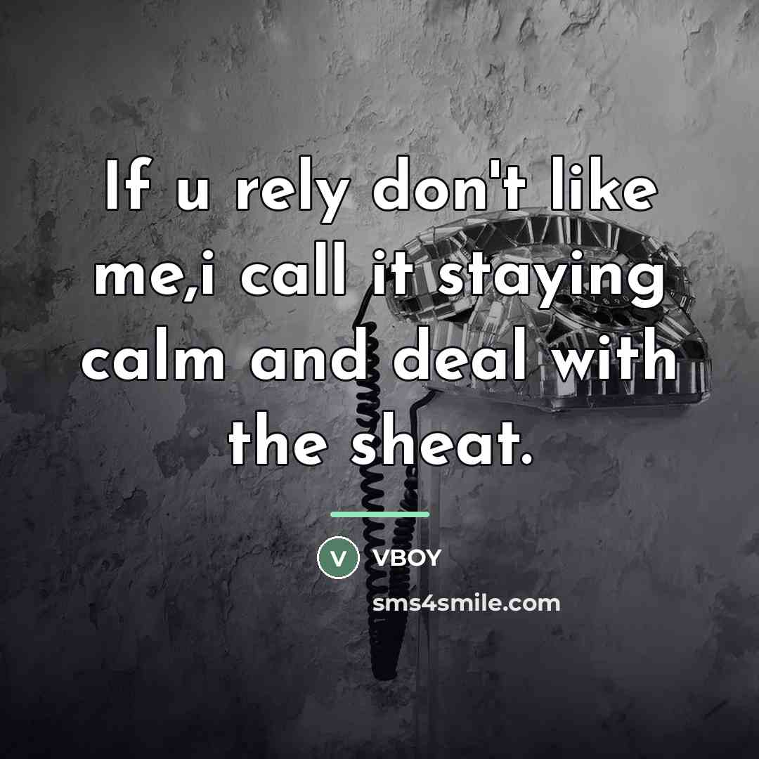 “If u rely don't like me,i call it staying calm…” quote by VBOY