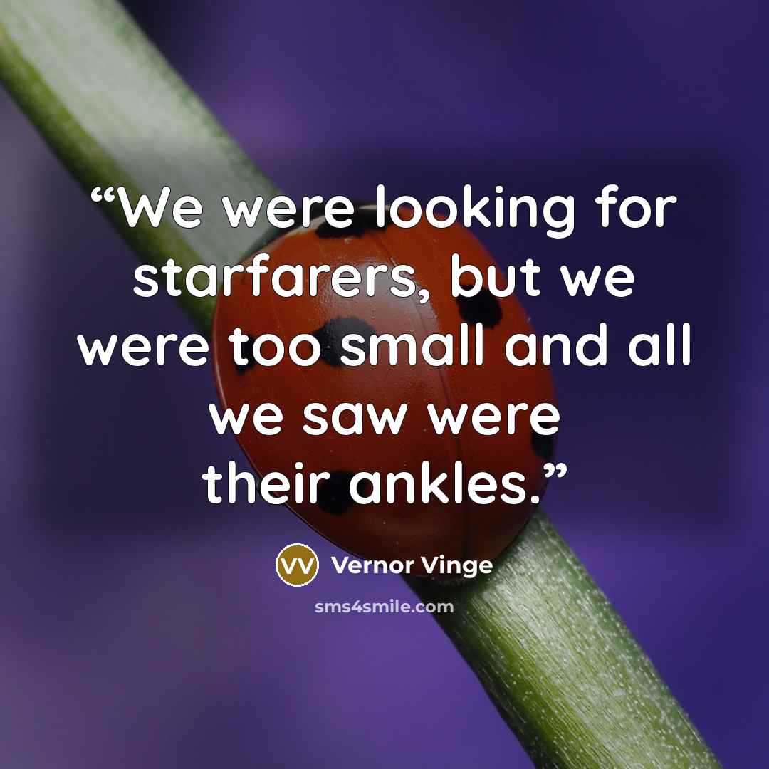 “We were looking for starfarers, but we were too small and all we saw were their ankles.” quote by Vernor Vinge