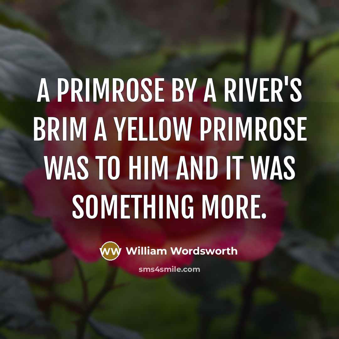 “A Primrose by a river's brim A yellow primrose was…” quote by William Wordsworth