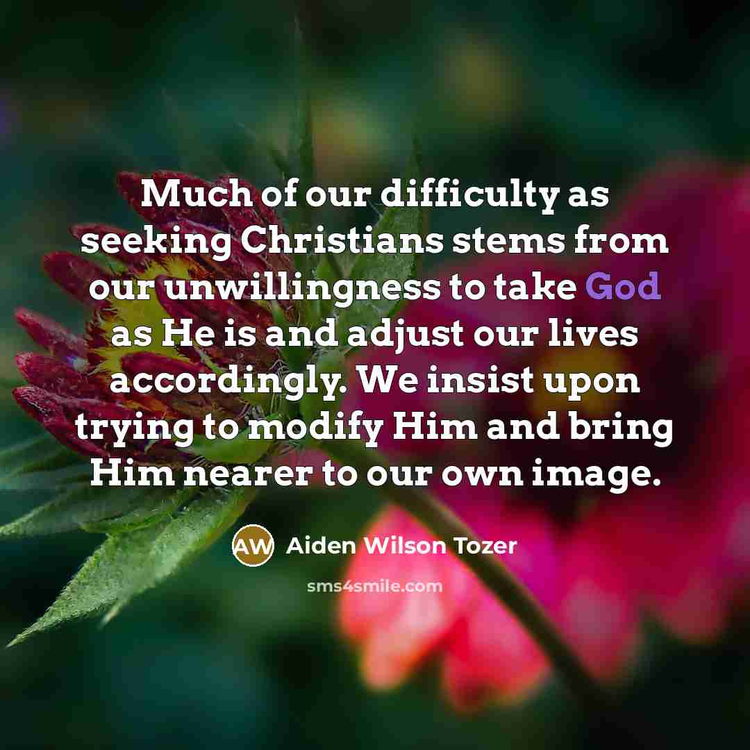 “Much of our difficulty as seeking Christians stems from our…” quote by Aiden Wilson Tozer