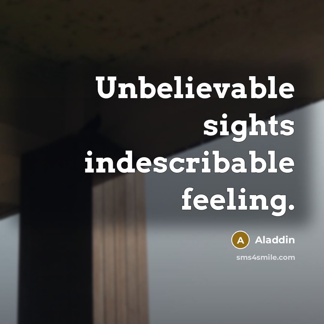 “Unbelievable sights indescribable feeling.” quote by Aladdin