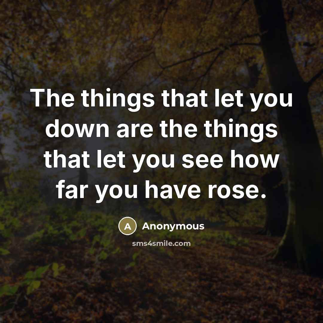“The things that let you down are the things that…” quote by Anonymous