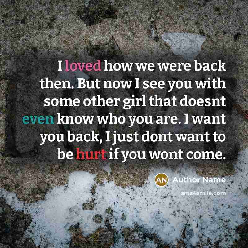 “I loved how we were back then. But now I see you with some other girl that doesnt even know who you are. I want you back, I just dont want to be hurt if you wont come.” quote by Author Name
