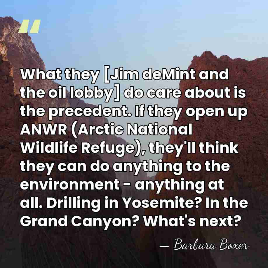 What they [Jim deMint and the oil lobby] do care about is&hellip; - Barbara Boxer