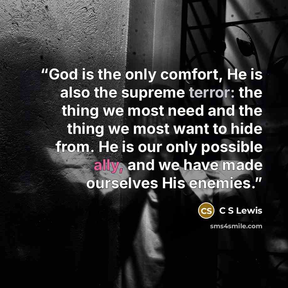 “God is the only comfort, He is also the supreme terror: the thing we most need and the thing we most want to hide from. He is our only possible ally, and we have made ourselves His enemies.” quote by c s lewis