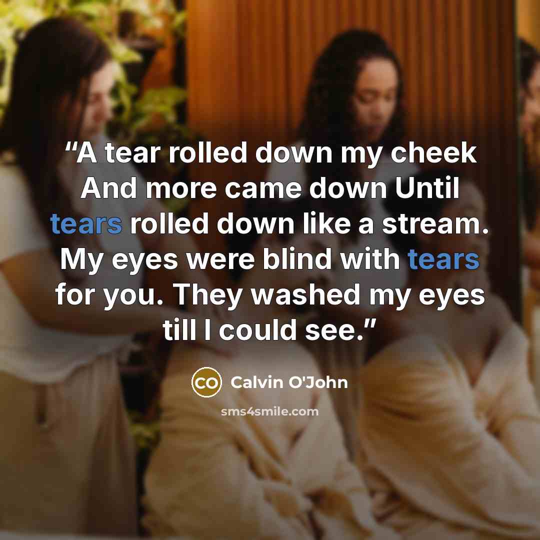 “A tear rolled down my cheek And more came down Until tears rolled down like a stream. My eyes were blind with tears for you. They washed my eyes till I could see.” quote by Calvin O'John
