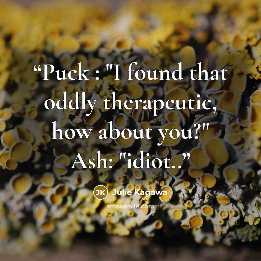 “Puck : "I found that oddly therapeutic, how about you?" Ash: "idiot..” quote by Julie Kagawa