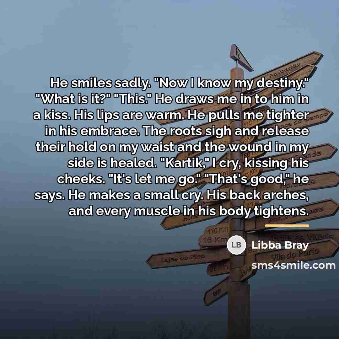 “He smiles sadly. "Now I know my destiny." "What is…” quote by Libba Bray