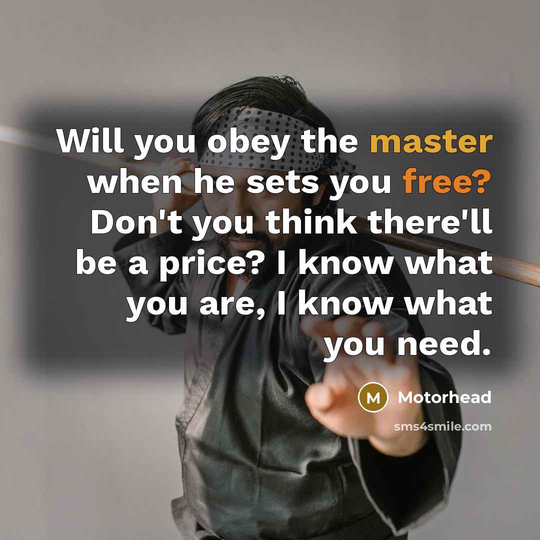 “Will you obey the master when he sets you free? Don't you think there'll be a price? I know what you are, I know what you need.” quote by Motorhead