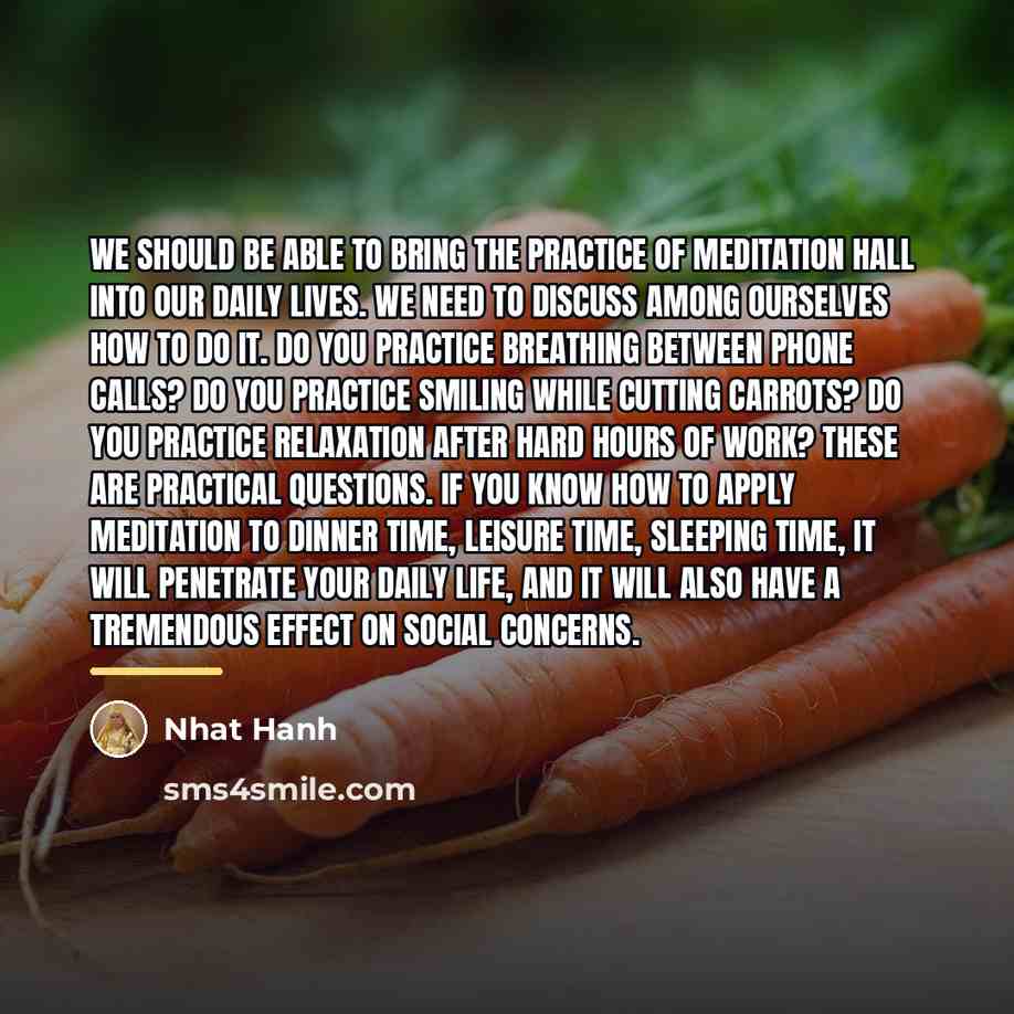 “We should be able to bring the practice of meditation…” quote by Nhat Hanh