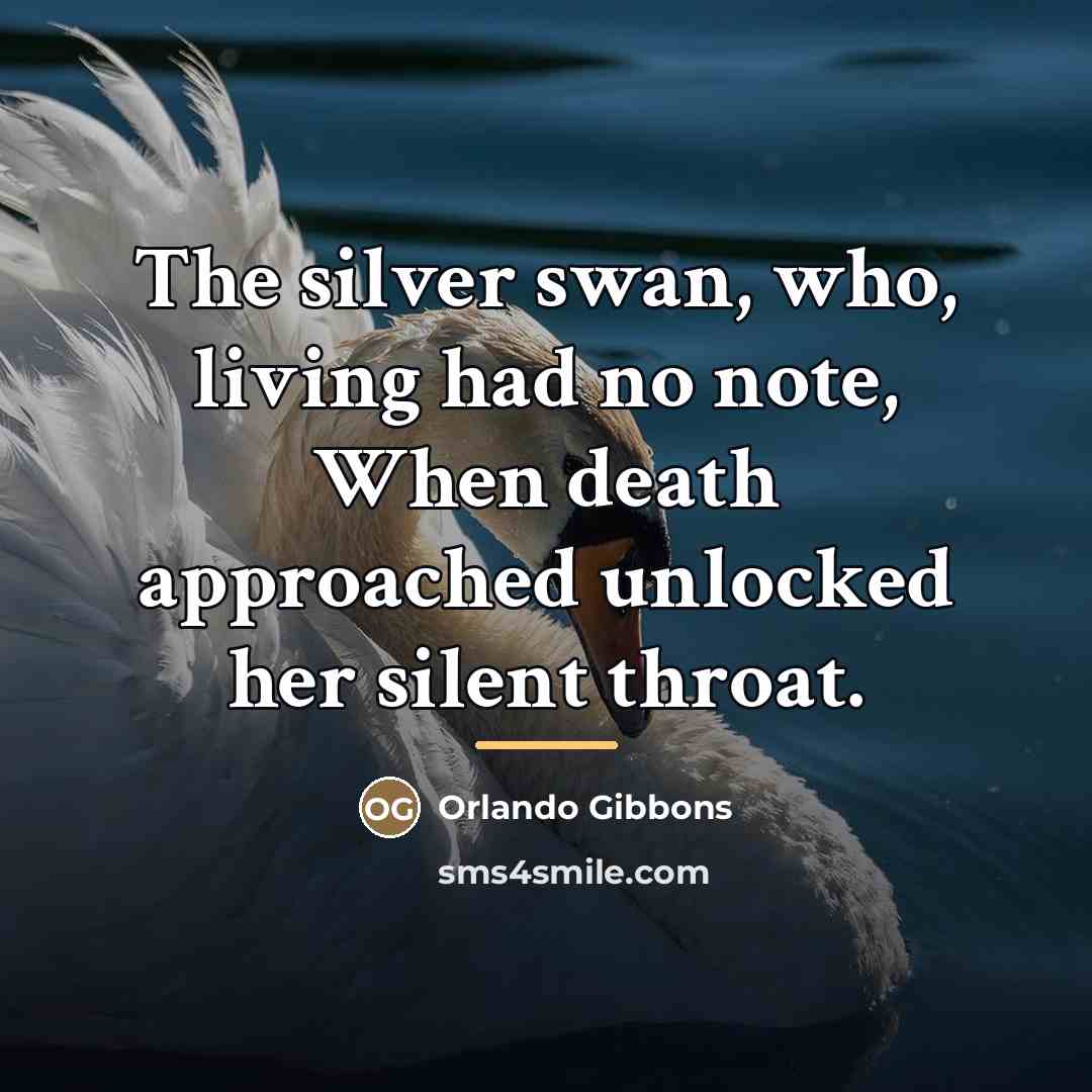 “The silver swan, who, living had no note, When death…” quote by Orlando Gibbons