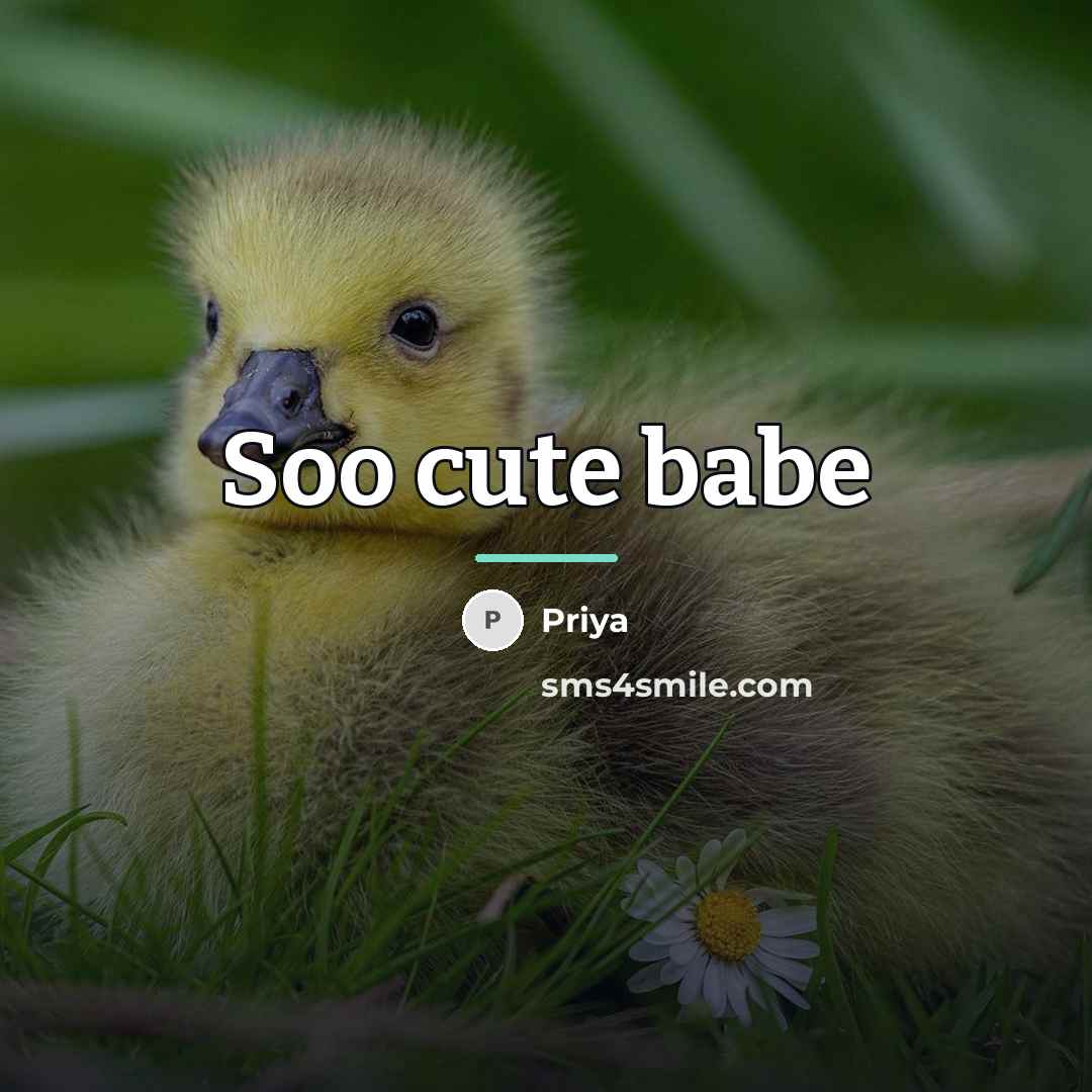 “Soo cute babe…” quote by Priya