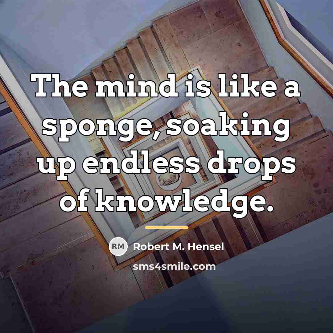 “The mind is like a sponge, soaking up endless drops…” quote by Robert M. Hensel