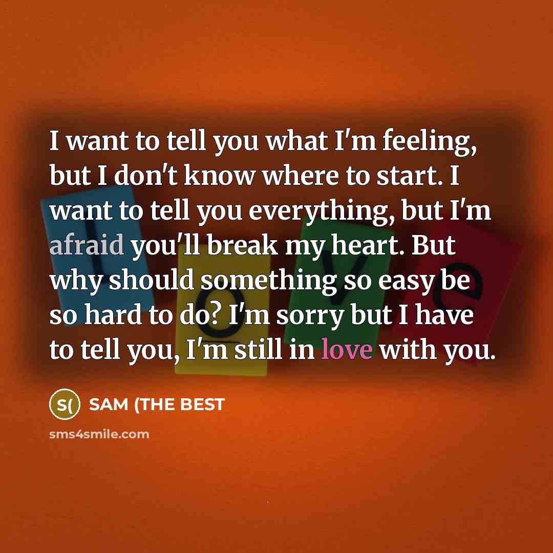 “I want to tell you what I'm feeling, but I don't know where to start. I want to tell you everything, but I'm afraid you'll break my heart. But why should something so easy be so hard to do? I'm sorry but I have to tell you, I'm still in love with you.” quote by SAM (THE BEST