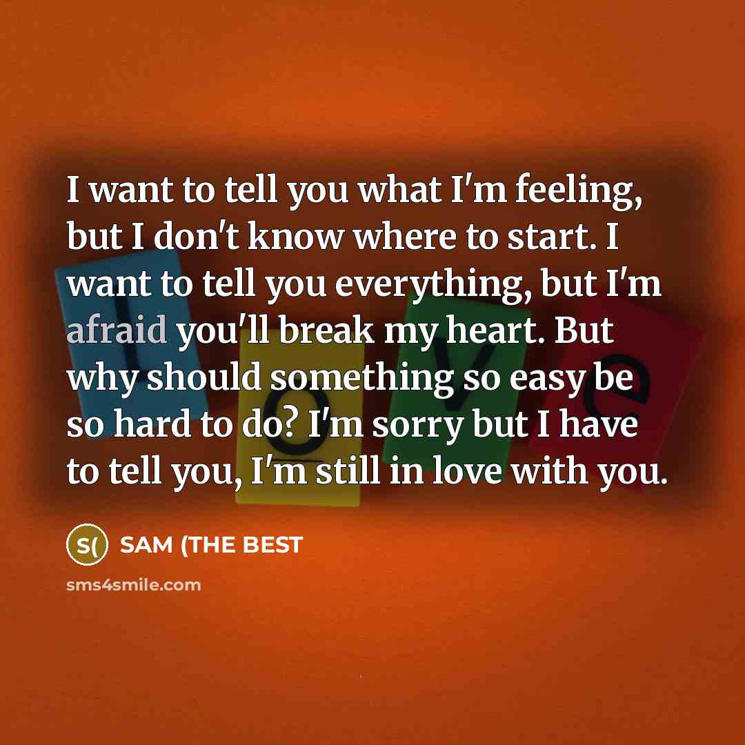 “I want to tell you what I'm feeling, but I…” quote by SAM (THE BEST