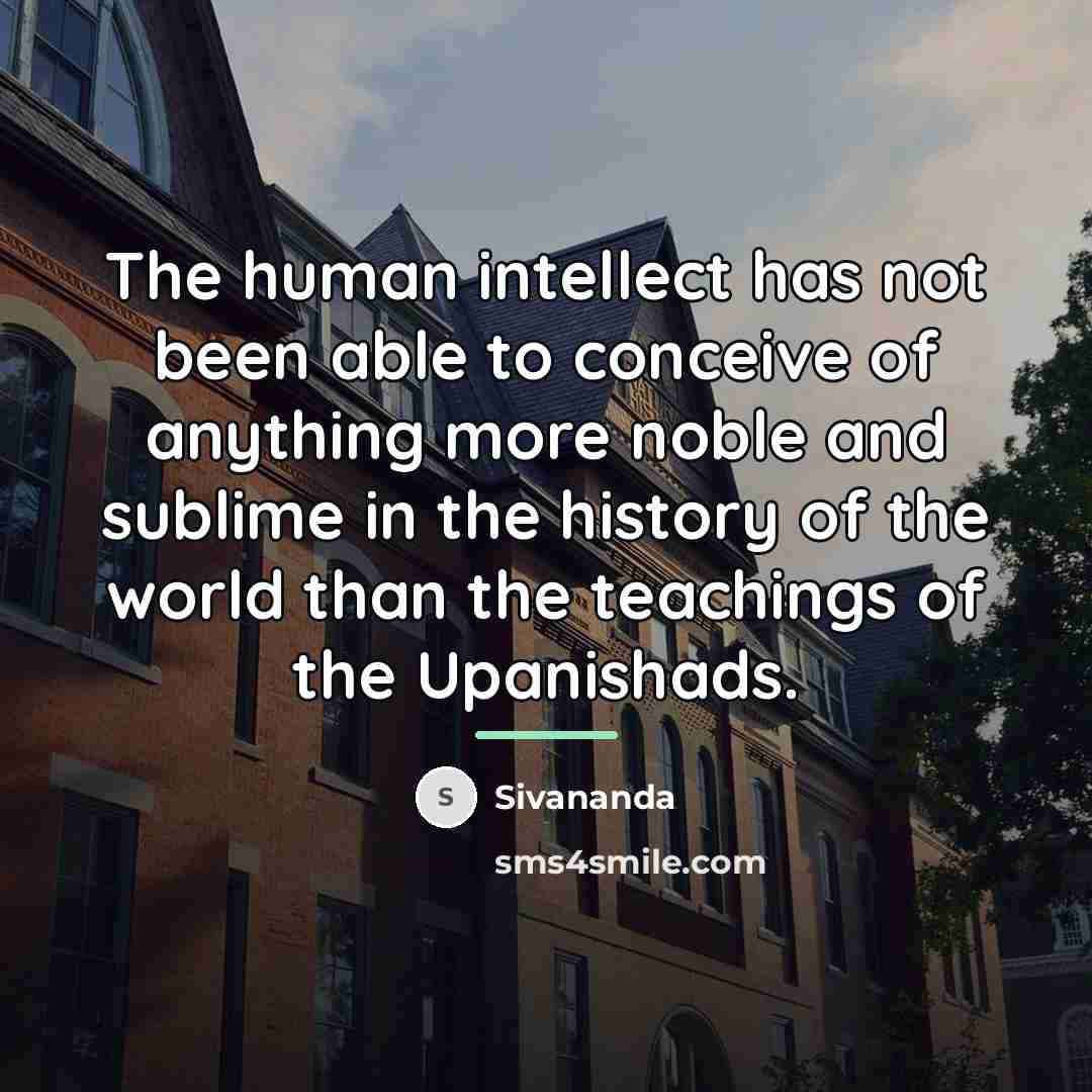 “The human intellect has not been able to conceive of…” quote by Sivananda