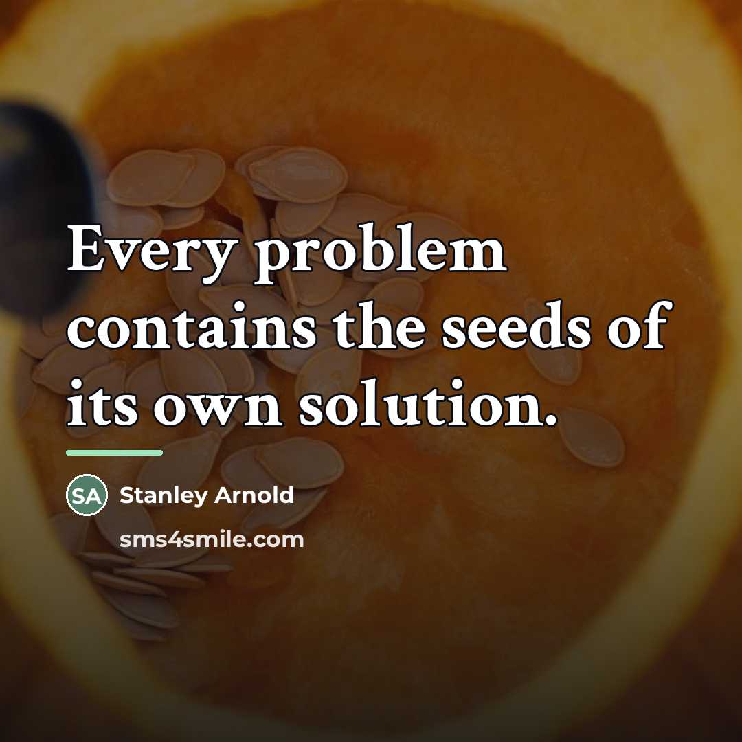 “Every problem contains the seeds of its own solution.…” quote by Stanley Arnold