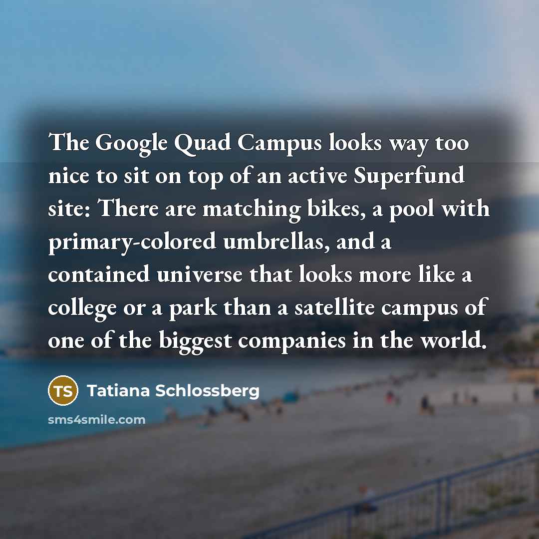 “The Google Quad Campus looks way too nice to sit…” quote by Tatiana Schlossberg
