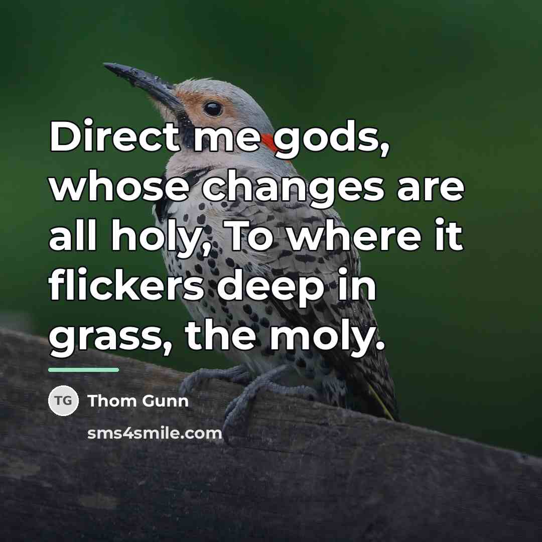 “Direct me gods, whose changes are all holy, To where…” quote by Thom Gunn