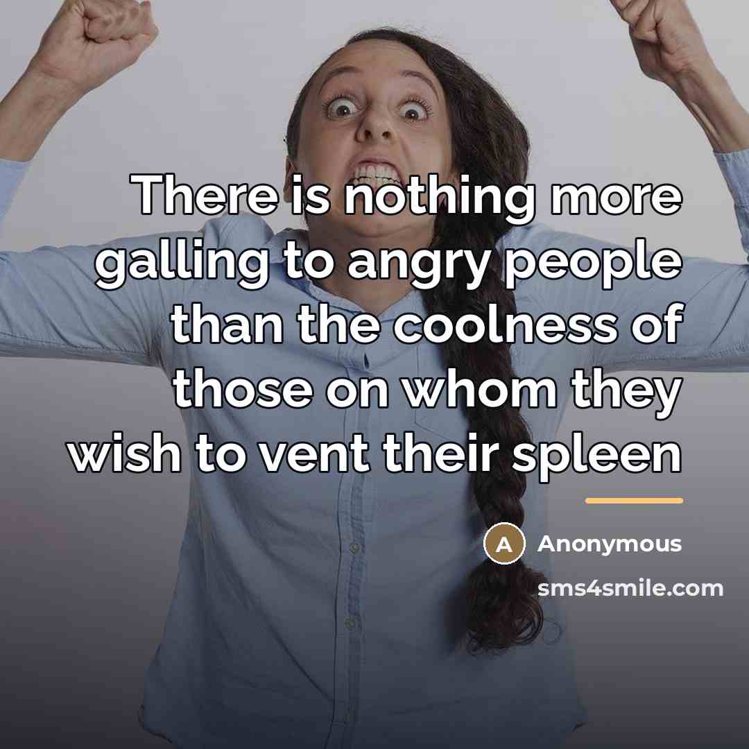 “There is nothing more galling to angry people than the…” quote by Anonymous