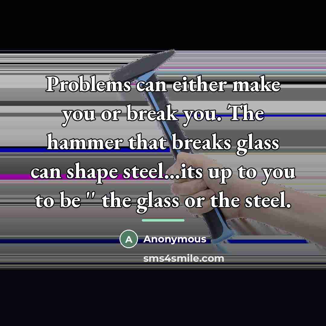 “Problems can either make you or break you. The hammer…” quote by Anonymous