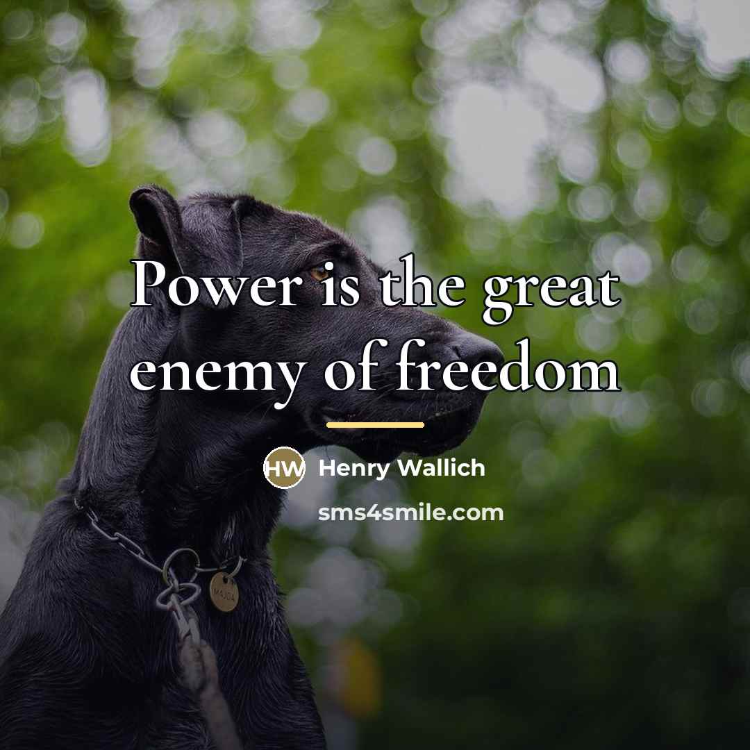 “Power is the great enemy of freedom…” quote by Henry Wallich