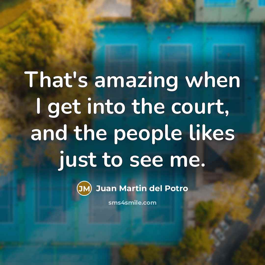 “That's amazing when I get into the court, and the…” quote by Juan Martin del Potro