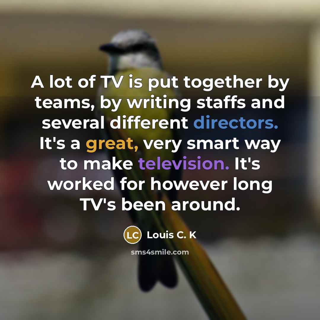 “A lot of TV is put together by teams, by…” quote by Louis C. K