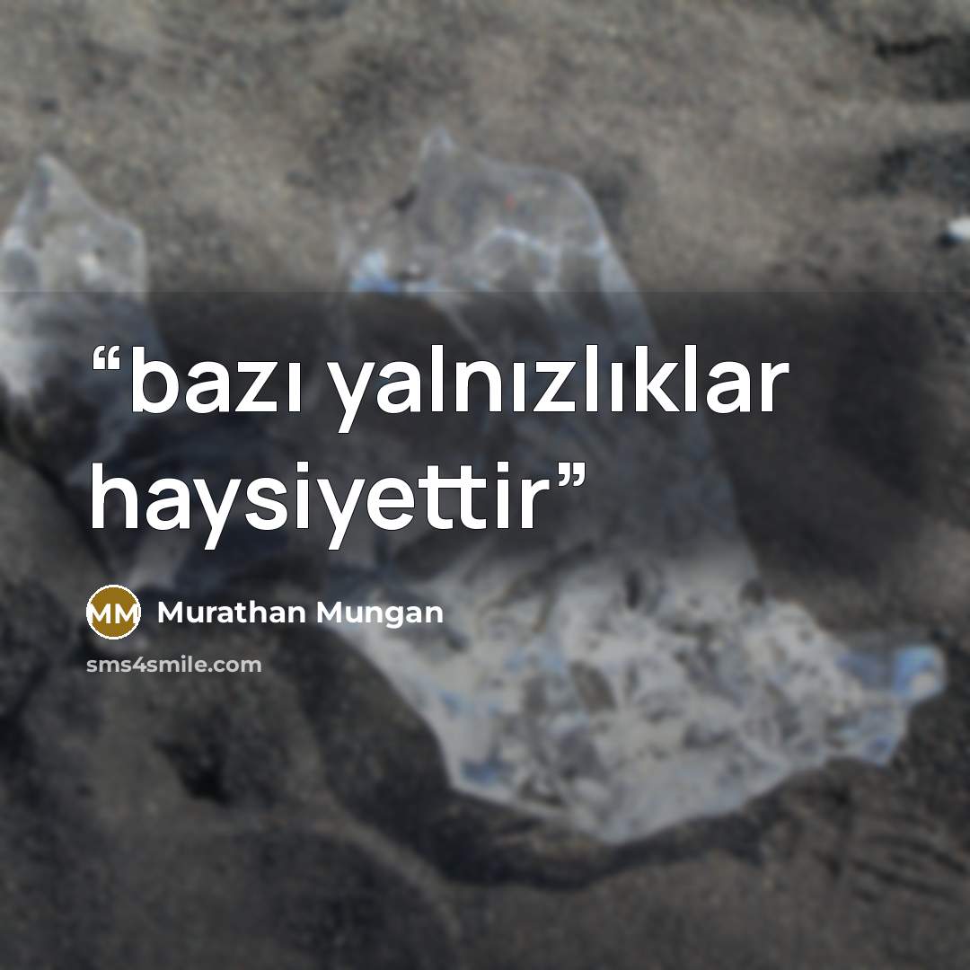 “bazı yalnızlıklar haysiyettir” quote by murathan mungan