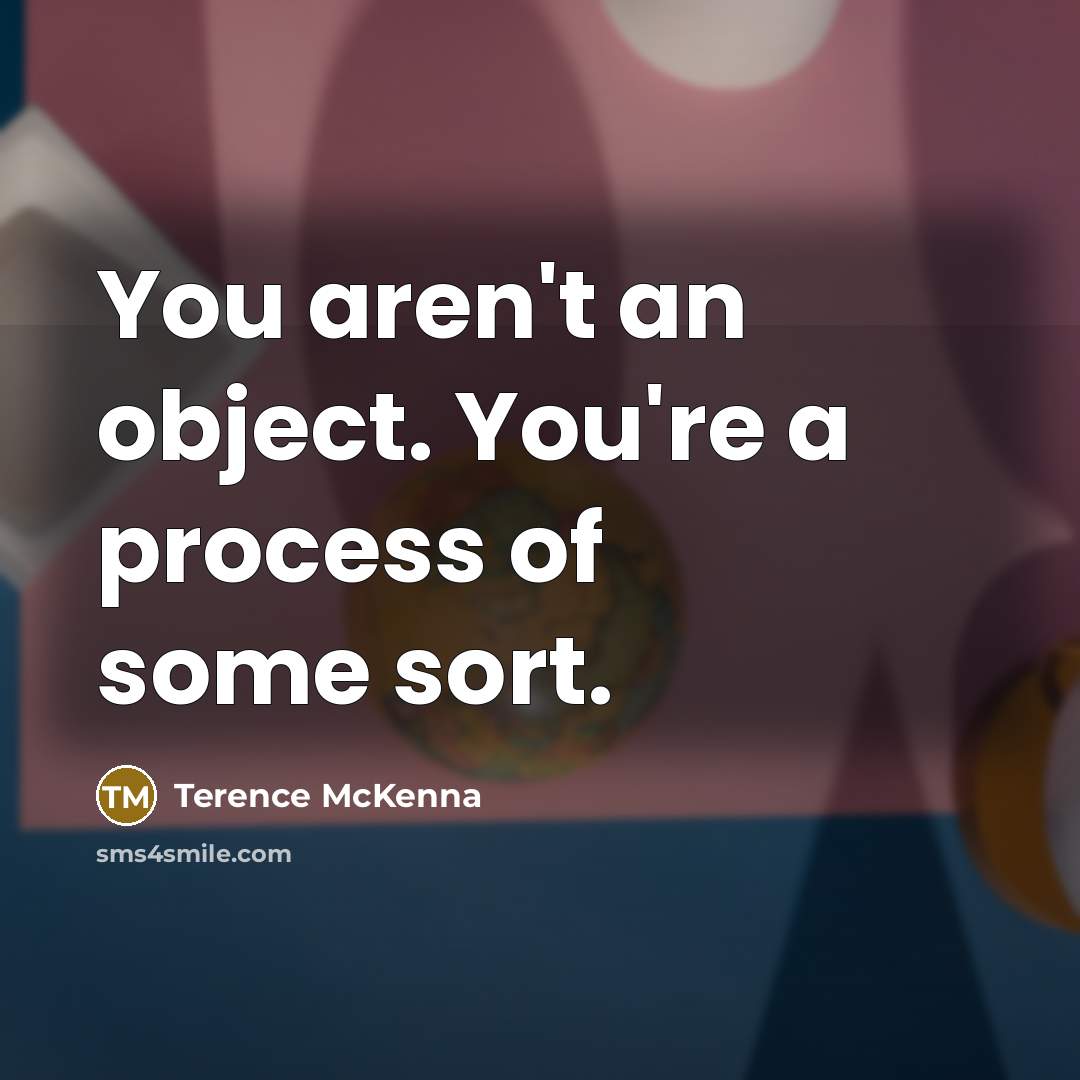 “You aren't an object. You're a process of some sort.…” quote by Terence McKenna
