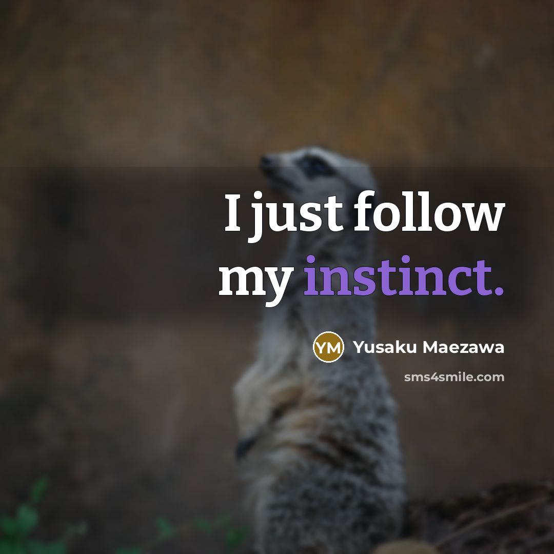 “I just follow my instinct.…” quote by Yusaku Maezawa