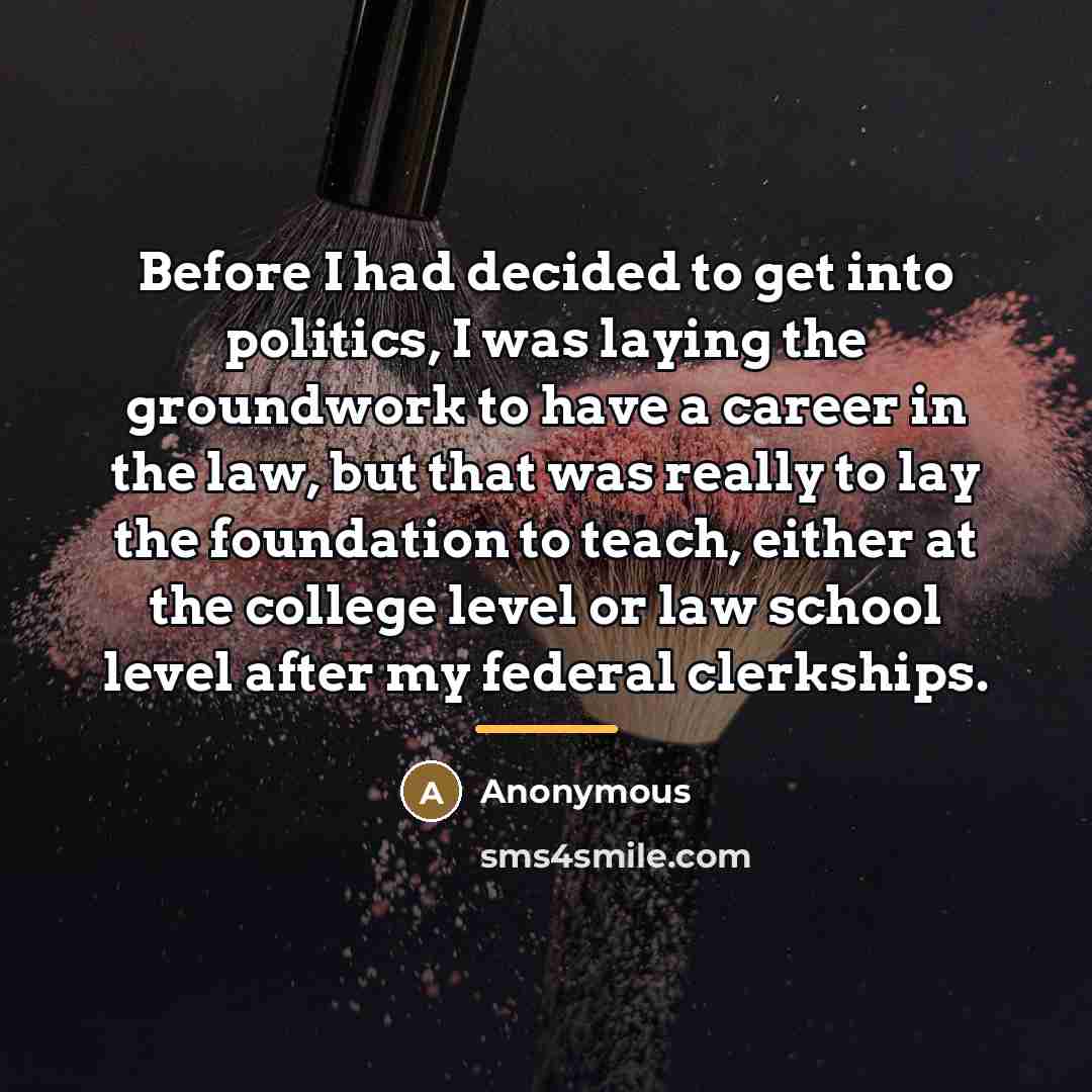“Before I had decided to get into politics, I was…” quote by Anonymous